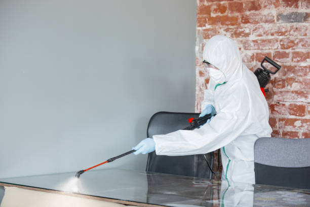 Why You Should Choose Our Mold Remediation Services in Franklin Park, IL